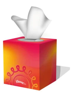 Kleenex 12er-Set Kosmetiktücher "Collection Würfel" - 12x 48 Stück 14 Kleenex 12er-Set Kosmetiktücher "Collection Würfel" - 12x 48 Stück -PureGlow Verkäufe kleenex 12er set kosmetiktucher collection wurfel 12x 48 stuck 4